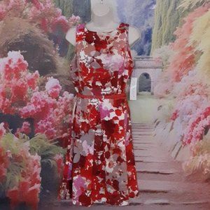 NWT Dress with Floral Design size 12